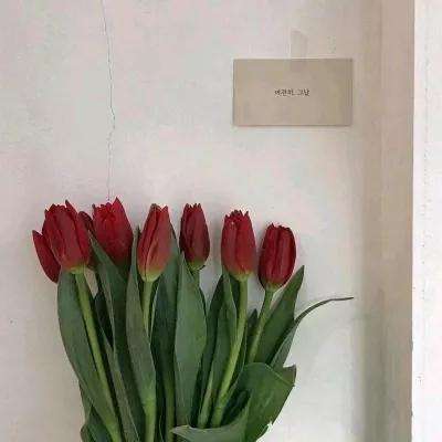 亿次元物语商城版下载
