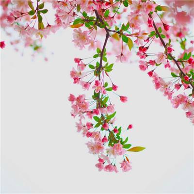 剑侠仙迹手游无限元宝金币版下载